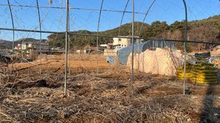 강원도김지원님의 기타작물 · 영농일지 작성글 사진