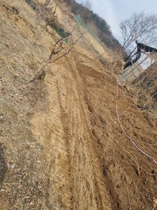 최기동님의 기타작물 · 영농일지 작성글 사진