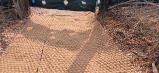 정연섭님의 기타작물 · 영농일지 작성글 사진