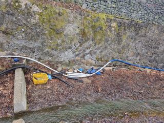 김용대님의 기타작물 · 영농일지 작성글 사진