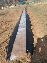 팜모닝 감자·영농일지 게시글 이미지