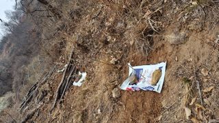 김동명님의 기타작물 · 영농일지 작성글 사진