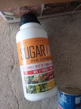 팜모닝 딸기·영농일지 게시글 이미지