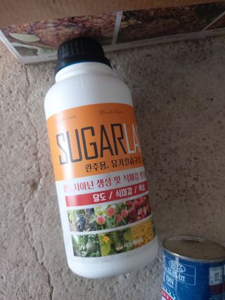 최병석님의 딸기 · 영농일지 작성글 사진