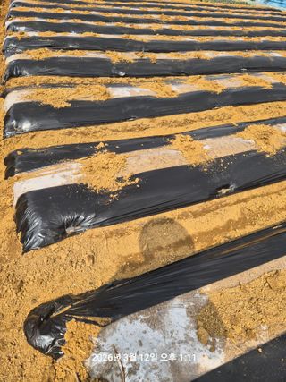 정택님의 감자 · 영농일지 작성글 사진