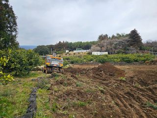 모래알님의 기타작물 · 영농일지 작성글 사진