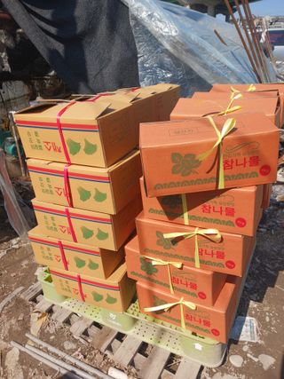 신건학님의 기타작물 · 영농일지 작성글 사진