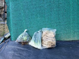 한골머스마님의 기타작물 · 영농일지 작성글 사진