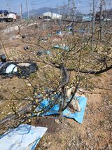 엄기덕님의 작성글 사진