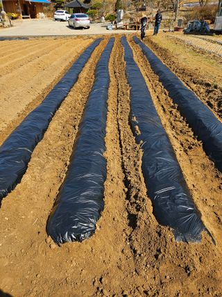 박홍권님의 기타작물 · 영농일지 작성글 사진