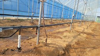 정병호님의 기타작물 · 영농일지 작성글 사진