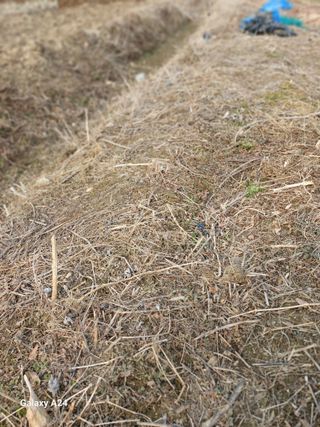 강성흔목사 님의 기타작물 · 영농일지 작성글 사진