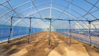 정병호님의 기타작물 · 영농일지 작성글 사진