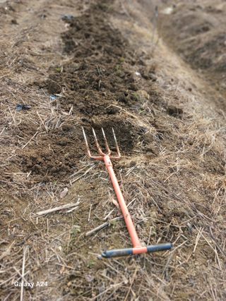 강성흔목사 님의 기타작물 · 영농일지 작성글 사진