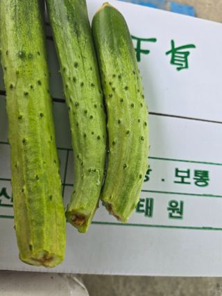 낙엽교목류6964님의 기타작물 · 영농일지 작성글 사진