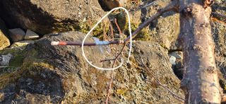 달맛햇복숭아농원님의 복숭아 · 영농일지 작성글 사진