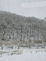 팜모닝 배추·영농일지 게시글 이미지