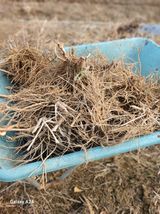 팜모닝 기타작물·영농일지 게시글 이미지