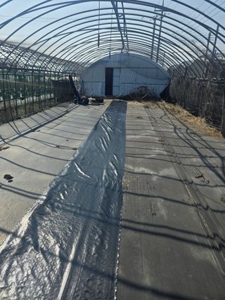 축복농장님의 기타작물 · 영농일지 작성글 사진