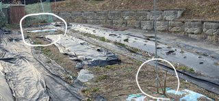 달맛햇복숭아농원님의 복숭아 · 영농일지 작성글 사진