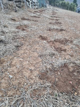 이상응님의 기타작물 · 영농일지 작성글 사진