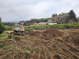 모래알님의 기타작물 · 영농일지 작성글 사진