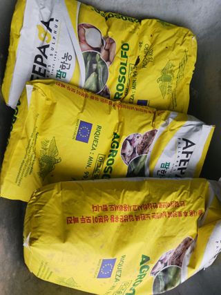 혁이네농원님의 포도 · 영농일지 작성글 사진