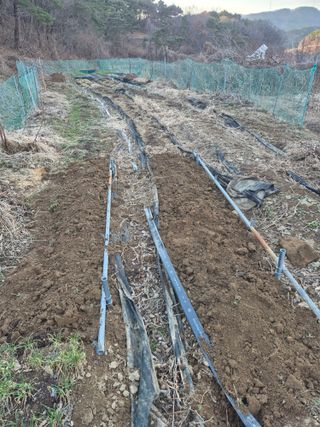 행복하게~님의 기타작물 · 영농일지 작성글 사진