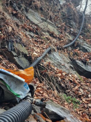 김용대님의 기타작물 · 영농일지 작성글 사진