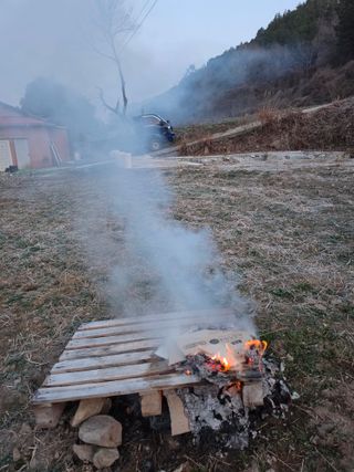 김성환님의 기타작물 · 영농일지 작성글 사진