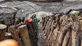 김동명님의 버섯 · 영농일지 작성글 사진