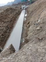 팜모닝 기타작물·영농일지 게시글 이미지