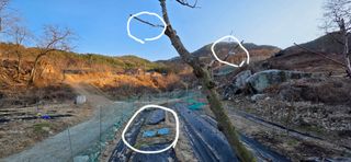 달맛햇복숭아농원님의 복숭아 · 영농일지 작성글 사진