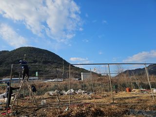 farmer님의 기타작물 · 영농일지 작성글 사진