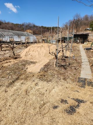 최상길 님의 기타작물 · 영농일지 작성글 사진