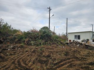 모래알님의 기타작물 · 영농일지 작성글 사진