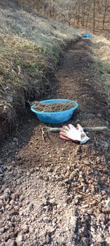 팜모닝 두릅·영농일지 게시글 이미지