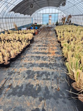 박태선님의 기타작물 · 영농일지 작성글 사진