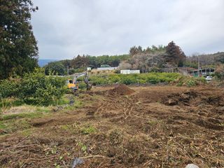 모래알님의 기타작물 · 영농일지 작성글 사진