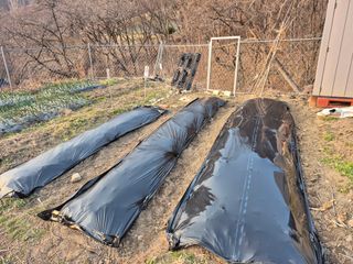 이준영님의 기타작물 · 영농일지 작성글 사진