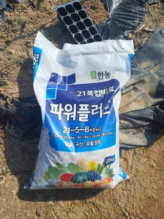 양경일님의 마늘 · 영농일지 작성글 사진