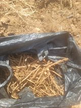 서성환님의 작성글 사진