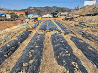 이준영님의 기타작물 · 영농일지 작성글 사진