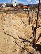 팜모닝 기타작물·영농일지 게시글 이미지