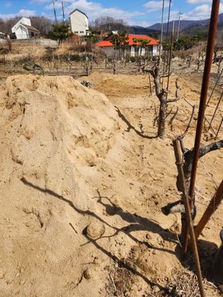 최상길 님의 기타작물 · 영농일지 작성글 사진