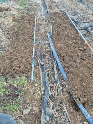 행복하게~님의 기타작물 · 영농일지 작성글 사진