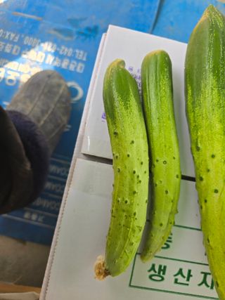 낙엽교목류6964님의 기타작물 · 영농일지 작성글 사진