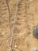 서성환님의 작성글 사진