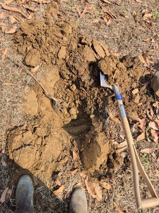 호랑이별님의 기타작물 · 영농일지 작성글 사진