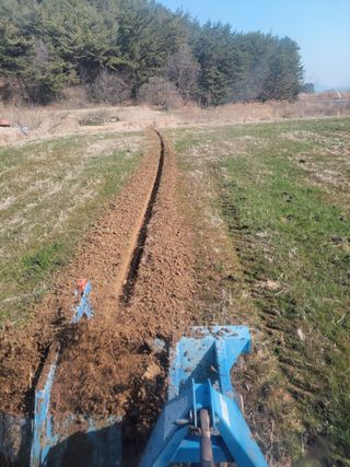 이행옥님의 기타작물 · 영농일지 작성글 사진